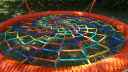 Photo_1622835354487