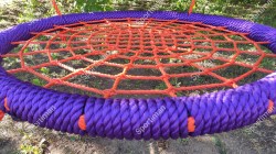 Photo_1716497584743