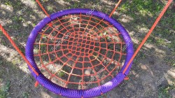 Photo_1716497646312