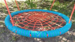 Photo_1716498032942